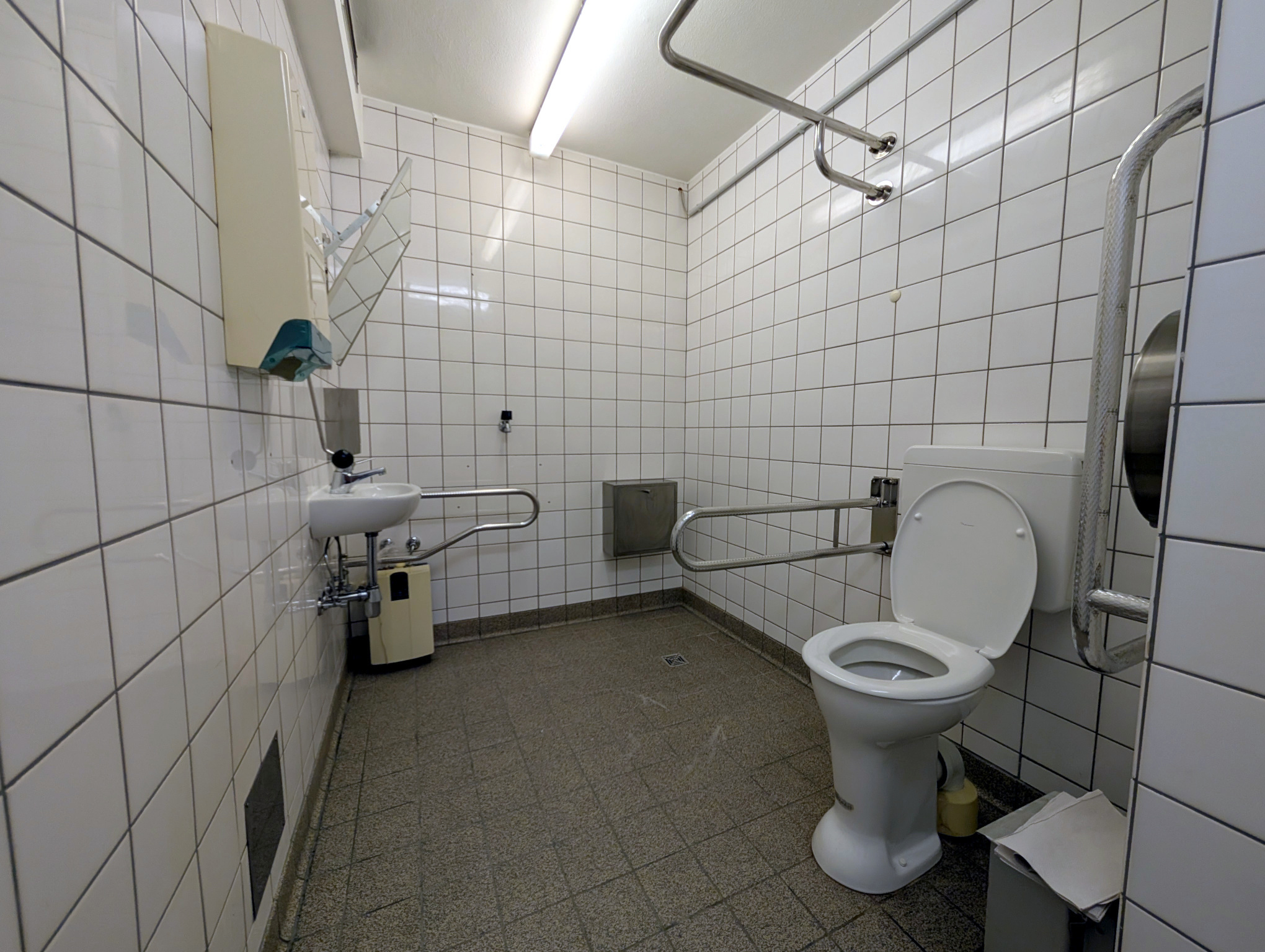 Panoramaansicht einer Behindertentoilette mit einem WC auf der rechten Seite und einem Waschbecken weiter hinten im Raum.